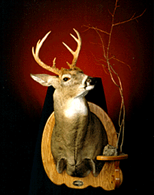 1999 Second Place Winner