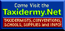 Taxidermy.net
